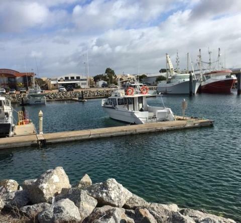 Port Lincoln Shark Apartment 1 Eksteriør billede
